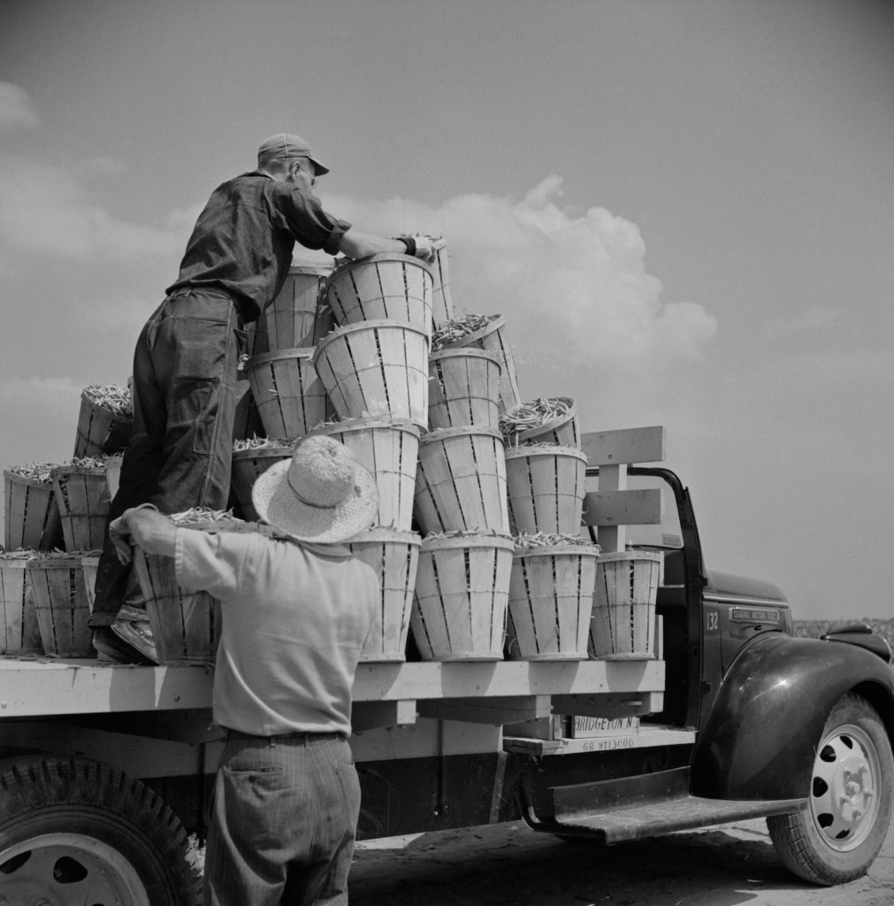 This flatbed farm truck might qualify for a United States Department of Agriculture loan | Universal History Archive/Universal Images Group via Getty Images