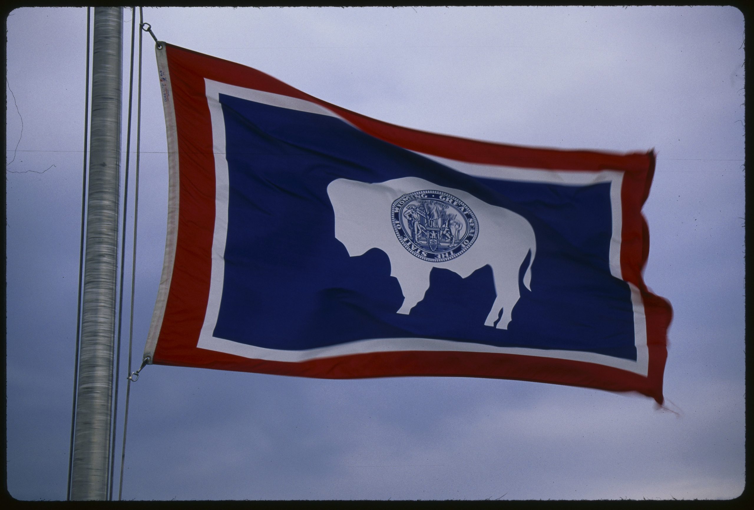 The state flag of Wyoming, featuring the state seal and a white buffalo