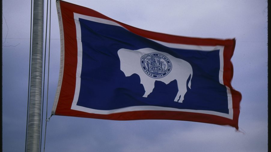 The state flag of Wyoming, featuring the state seal and a white buffalo