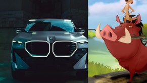 A side-by-side comparison showing Lion King character Pumbaa and the new BMW XM concept SUV