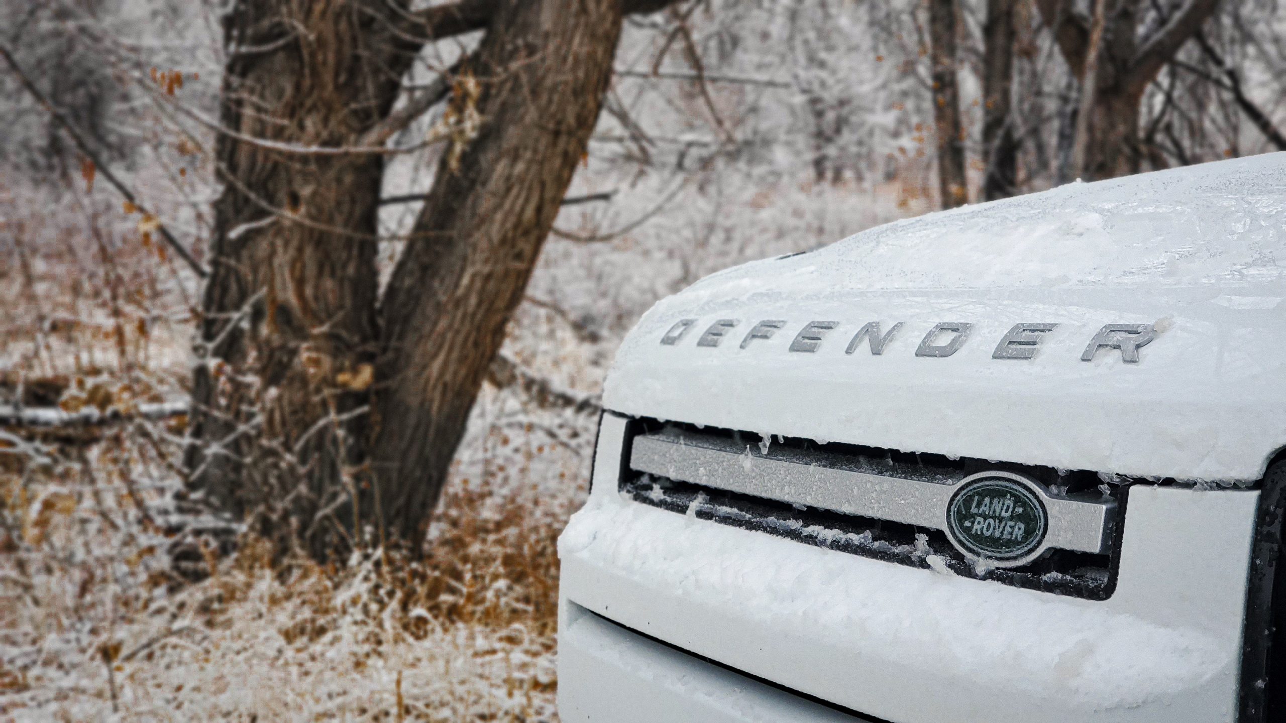The badge of the Defender shot from the 3/4 angle on a snowy day