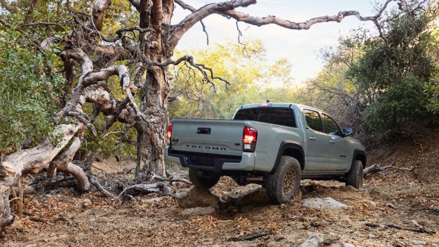 A gray 2022 Toyota Tacoma midsize pickup truck driving on rocks in the woods