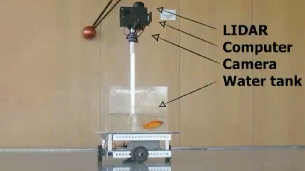 Goldfish drives a Fish Operated Vehicle for study conducted by Israeli scientists at Ben-Gurion University