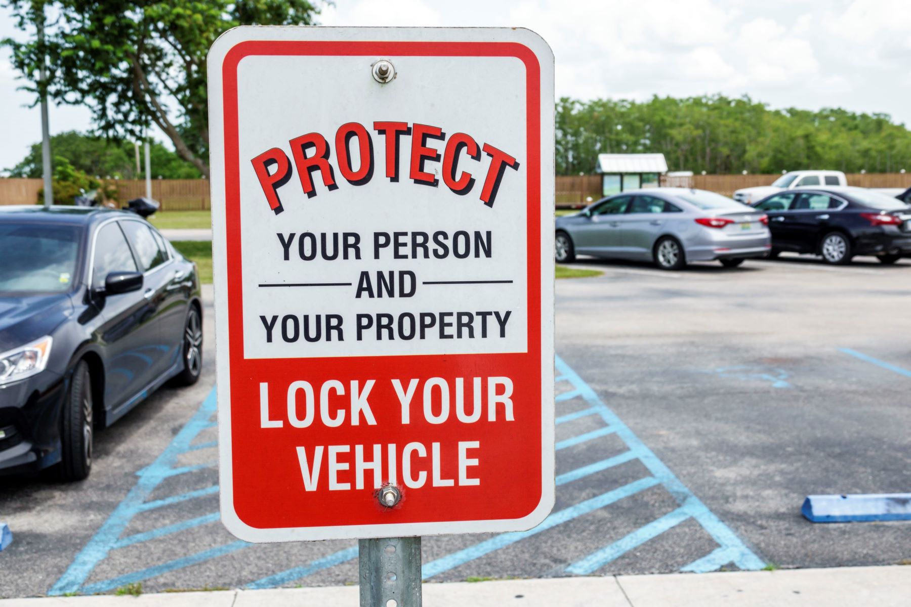 An auto theft safety sign in the Everglades, Florida