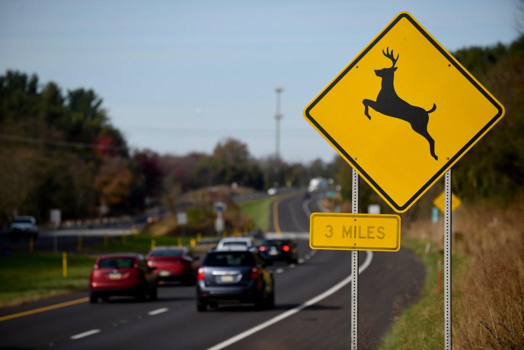 a yellow deer crossing sign warning drivers of nearby deer. 