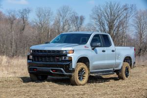 2020 Chevrolet Silverado Custom Trail Boss full-size pickup truck parked on a plowed field of dirt