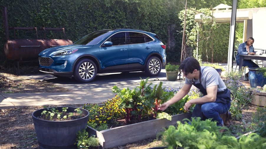 A blue 2022 Ford Escape with a man gardening next to it.