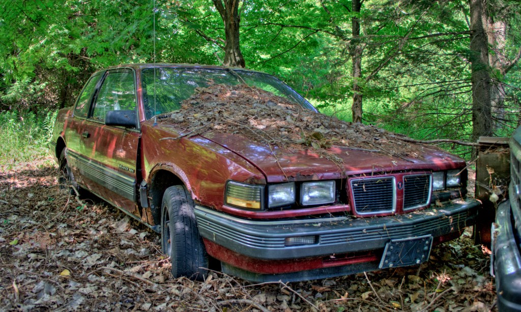 A red car that's been abandoned in the woods