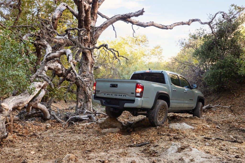 Gray 2022 Toyota Tacoma driving by tree, highlighting release date and price of 2023 Toyota Tacoma