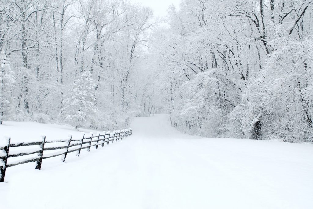 Snow-covered country road bordered by woods and a split-rail fence.