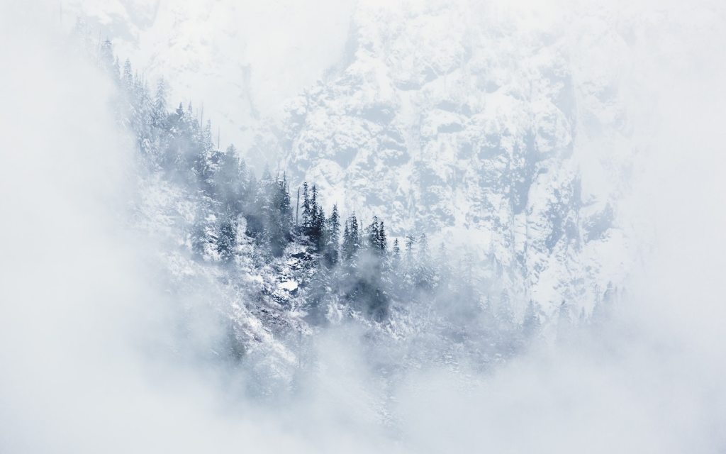 A snow-covered mountainside emerging through the fog of a blizzard.