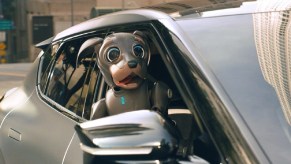 A brown robot dog sticking its head out of a 2022 Kia EV6.