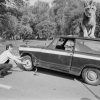 A man changing a tire with a lion on top of the car