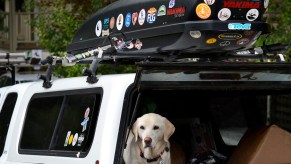 A Yakima rooftop cargo carrier attached to a vehicle's roof