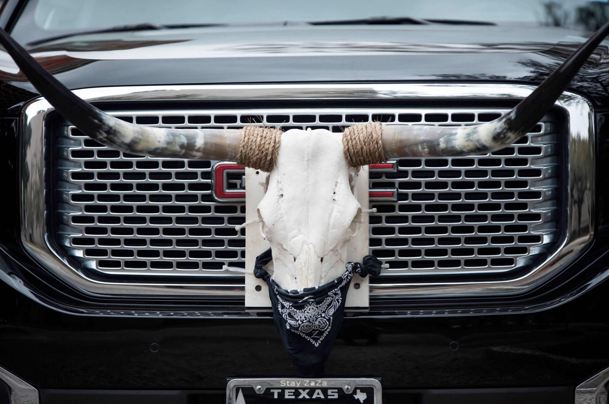 a cow skull mounted to a pickup truck grille