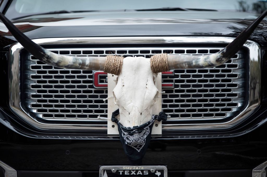 Longhorn cow skull mounted to the front of a GMC