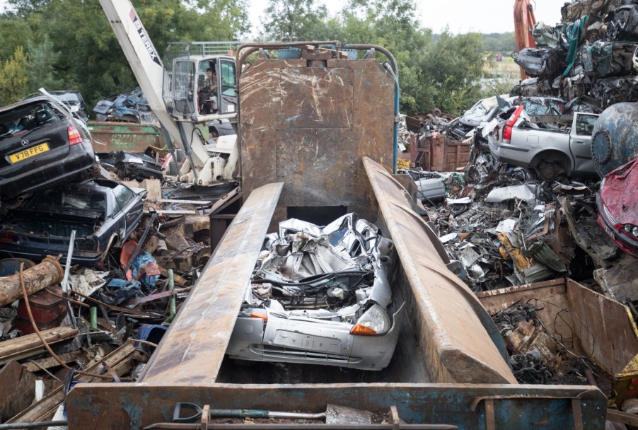 An illegal car crushing and marijuana grow operation was busted by police this week