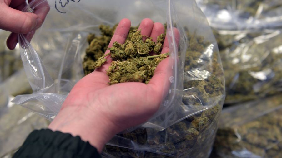 Marijuana seized from a car during a customs officer search in Ulm, Germany