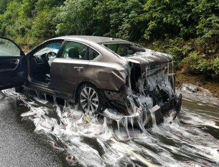 Truck Carrying ‘Slime Eels’ Crashes, Incapacitating Cars After Bizarre Accident