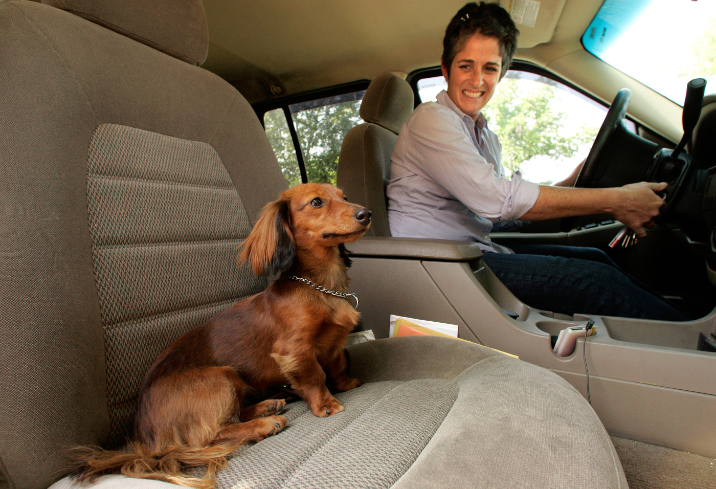 The Best SUVs for dogs and dog owners