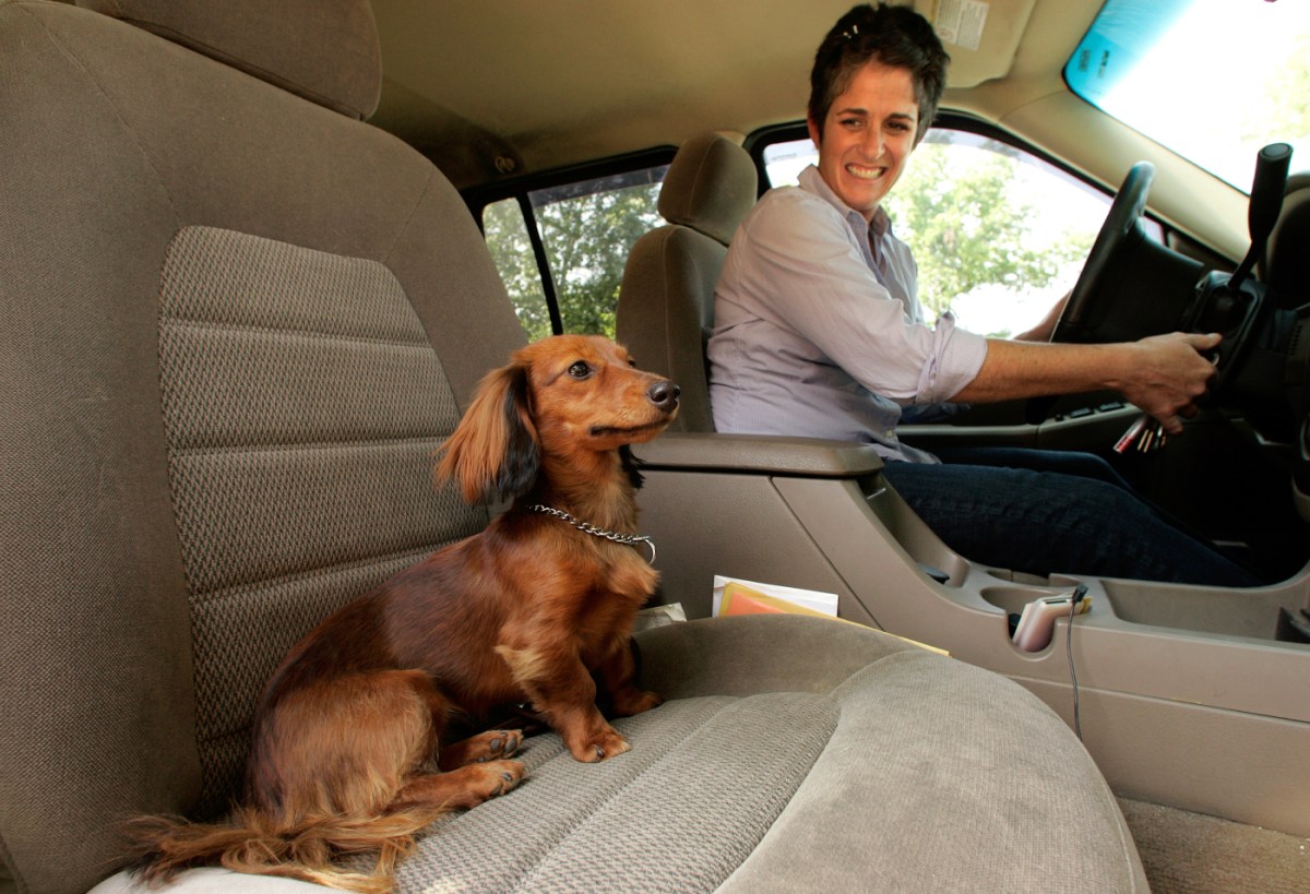 The Best SUVs for Dogs and Dog Owners in 2022