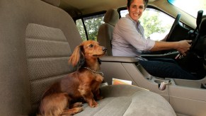 The Best SUVs for dogs and dog owners