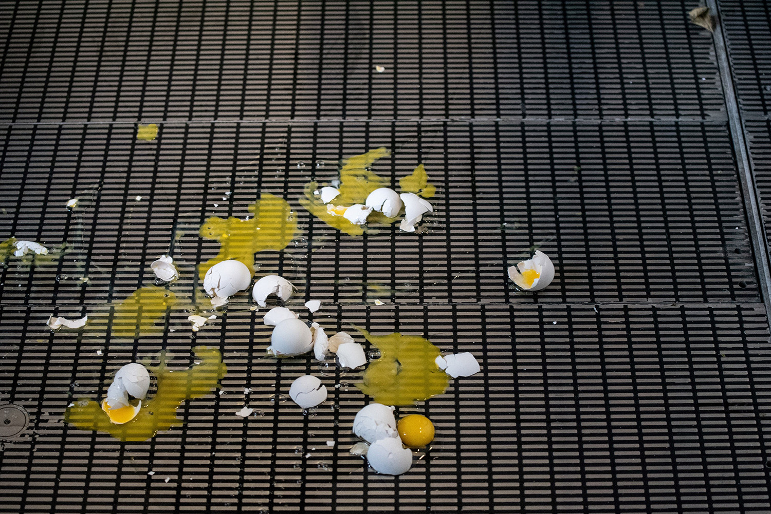 A bunch of broken eggs sitting on a grate after being thrown