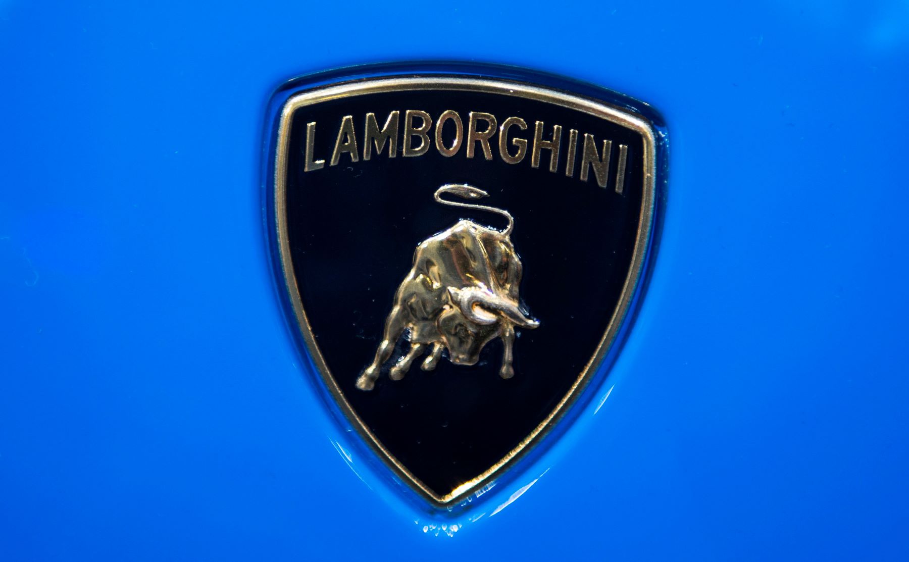 The Lamborghini logo badging on a Lamborghini Huracan model seen at the International Motor Show (IAA) in Germany