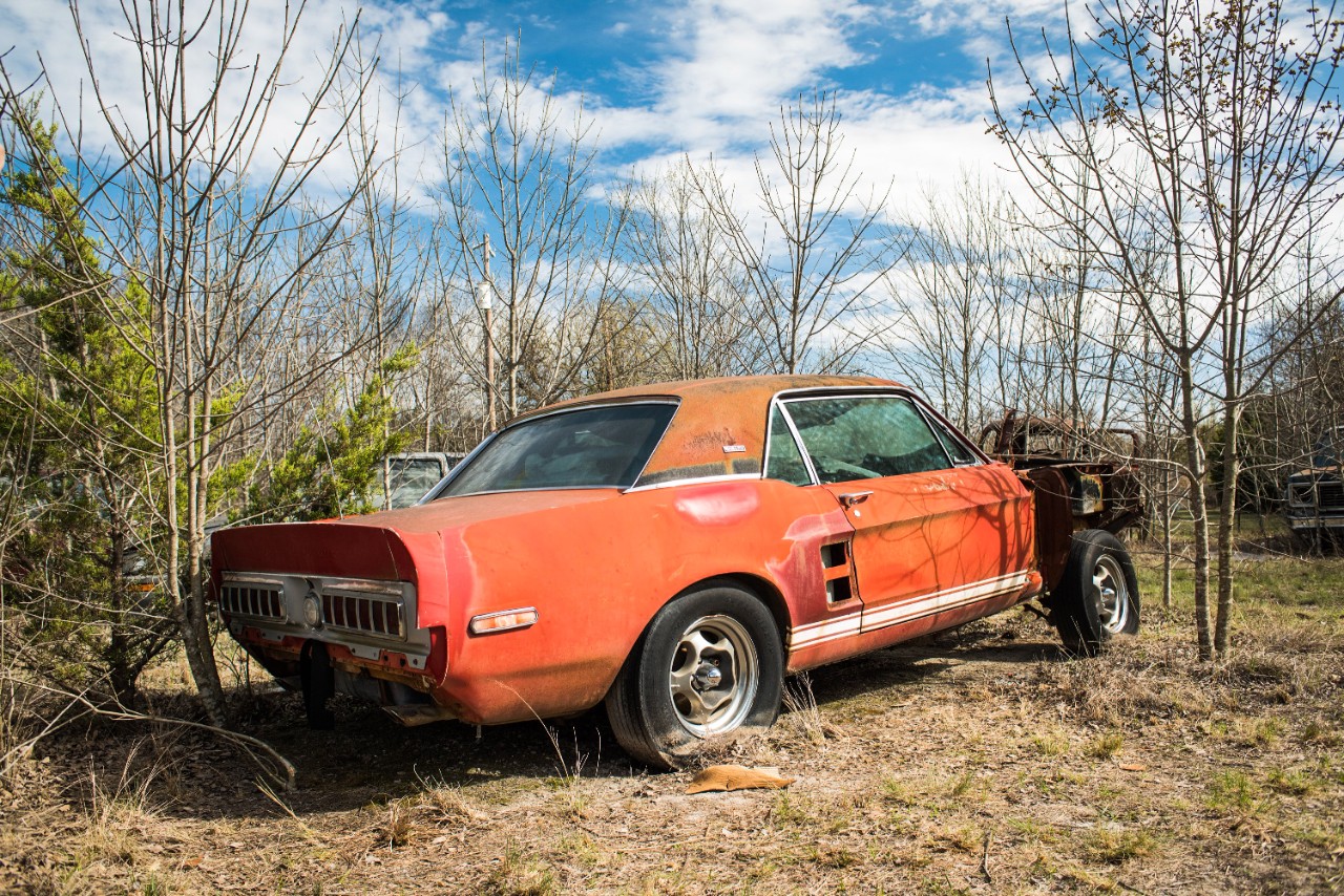 Little Red Shelby Ford Mustang GT500 prototype sitting in a field in Texas