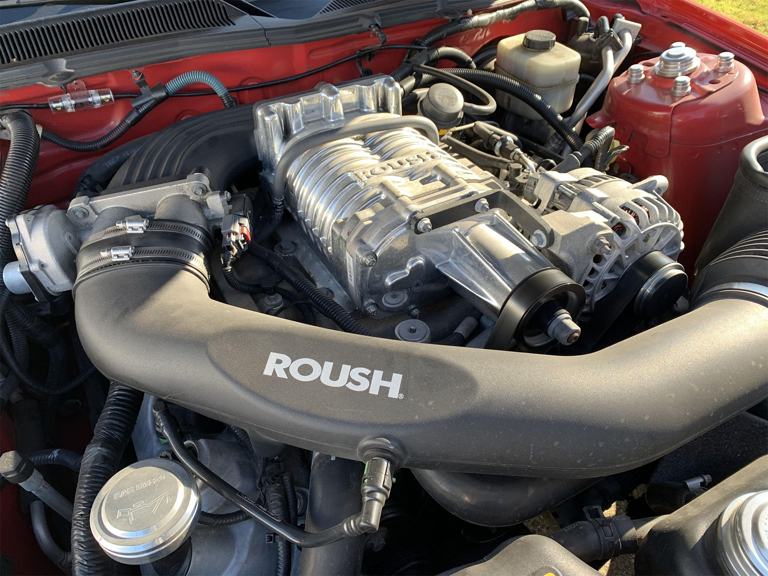 Roush supercharged 4.6L Ford V8 engine in 2008 428R coupe