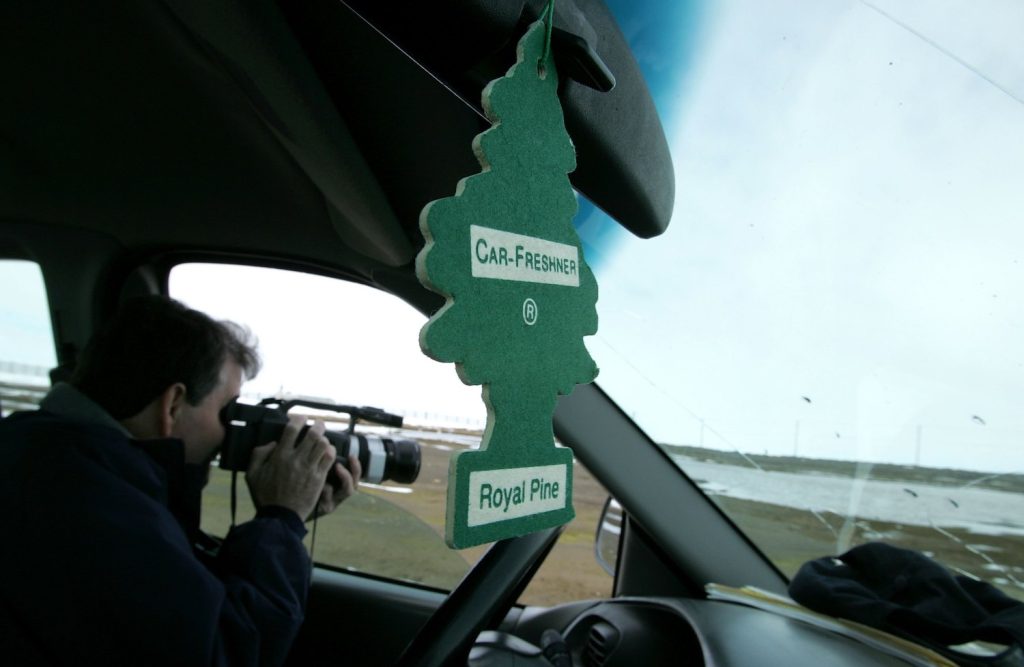 A little tree air freshener hangs from a car's rearview mirror