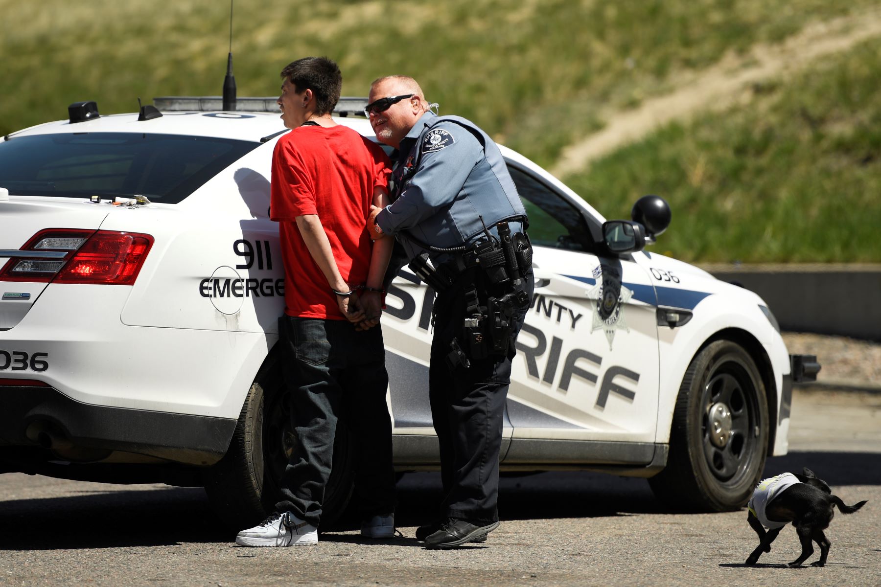 A car theft suspect arrested by police in Denver, Colorado