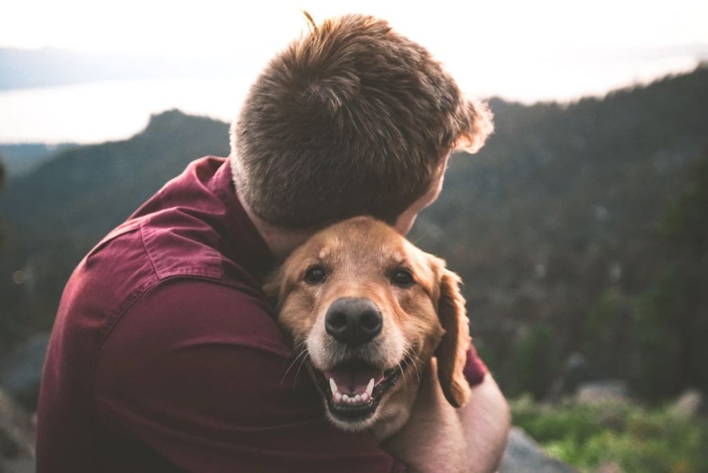 A man wearing a maroon shirt hugging a Golden Retriever; dog carsickness is not as rare as you might think