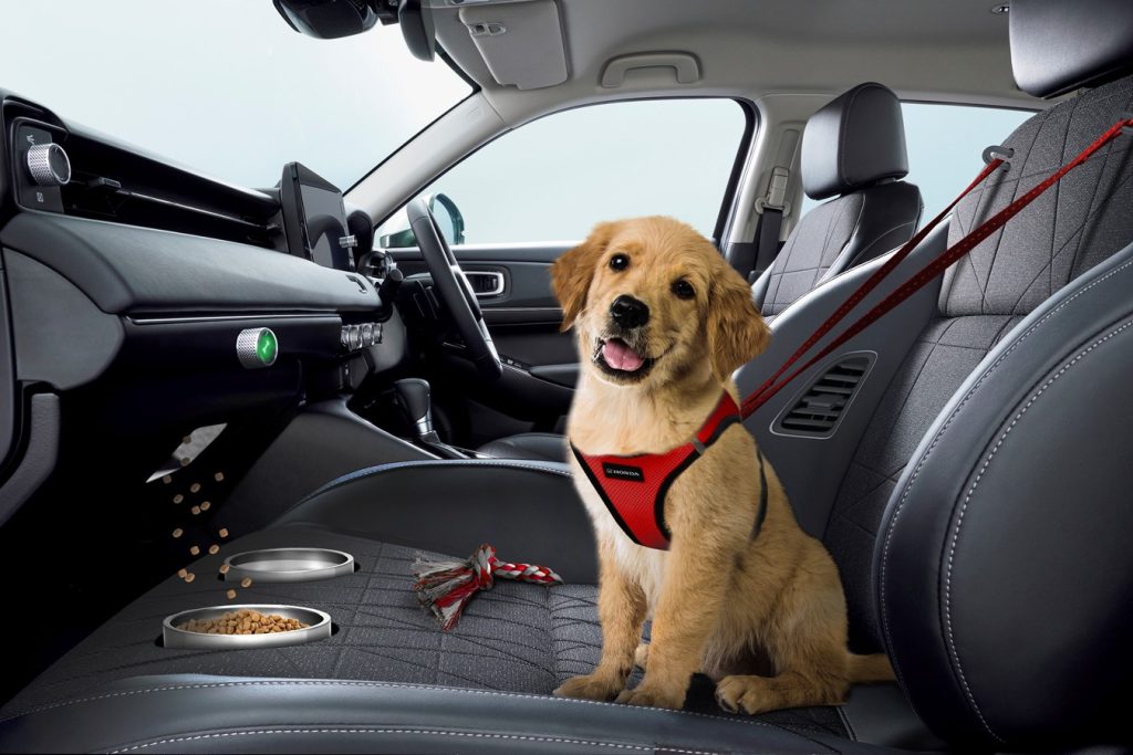 Pets aren't safe left inside vehicles, no matter the outside temperature. Hot car fatalities are always in season.