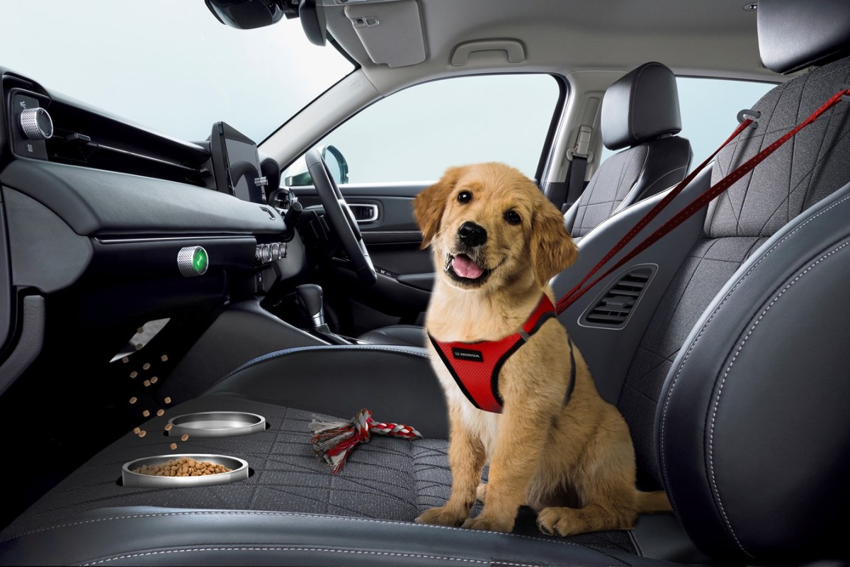 Honda's 2021 April Fools' Day prank was announcing a new Pet Seat.