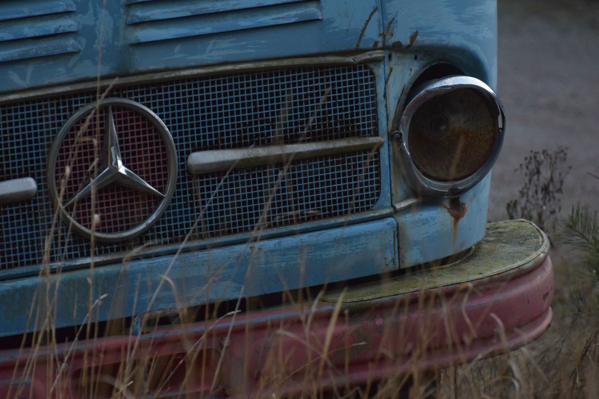 Close up of a Mercedes Benz grille on an old, rusty classic car; junkyard parts are everywhere