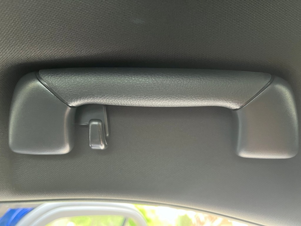 2022 Lexus UX interior grab handle