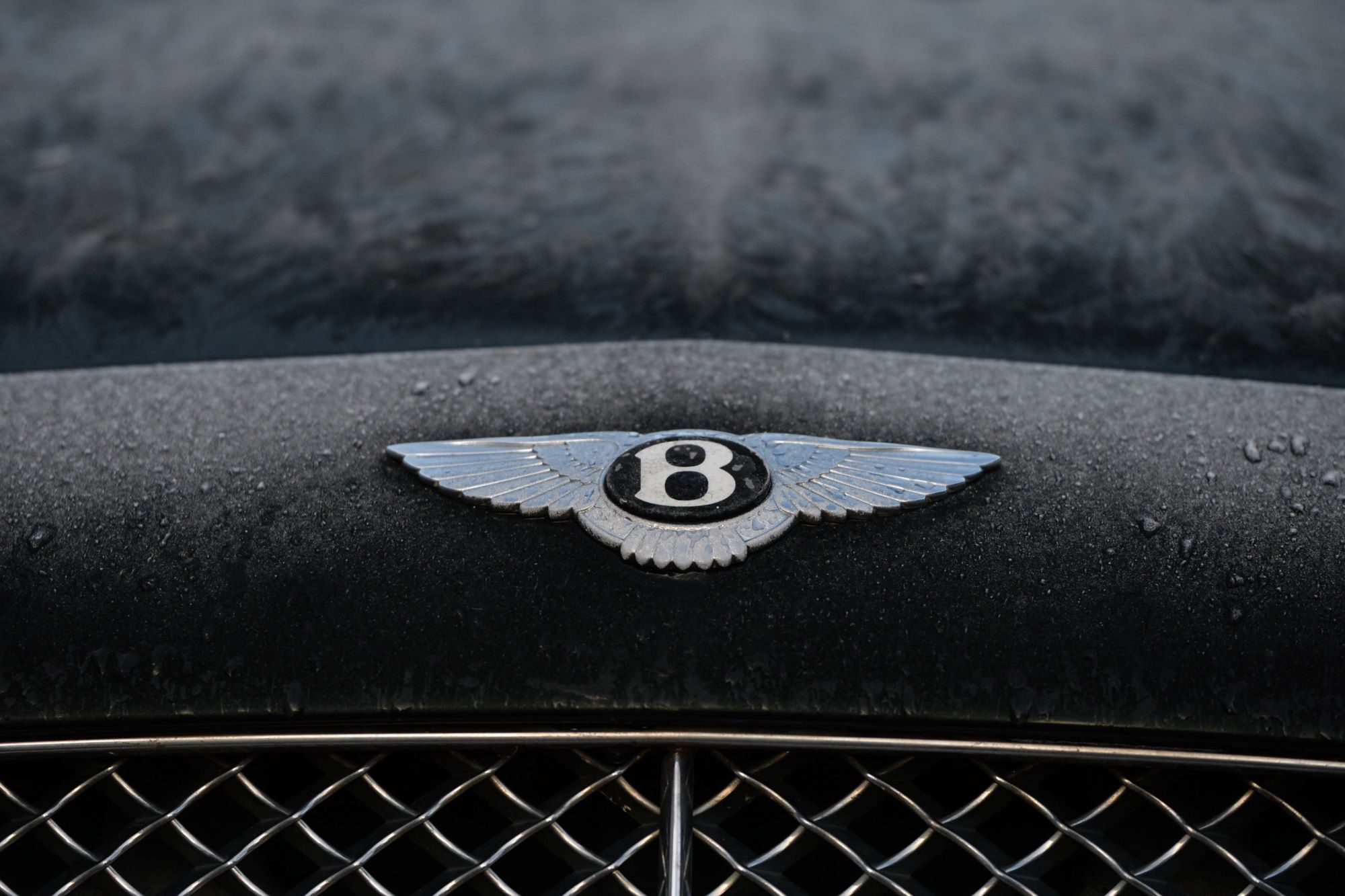 A Bentley logo on a black car, that may require a different license in Europe to drive.