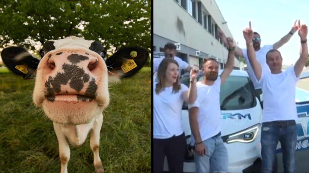 Cow and French engineers by biomethanol-powered car, celebrating world record for distance traveled by hydrogen car