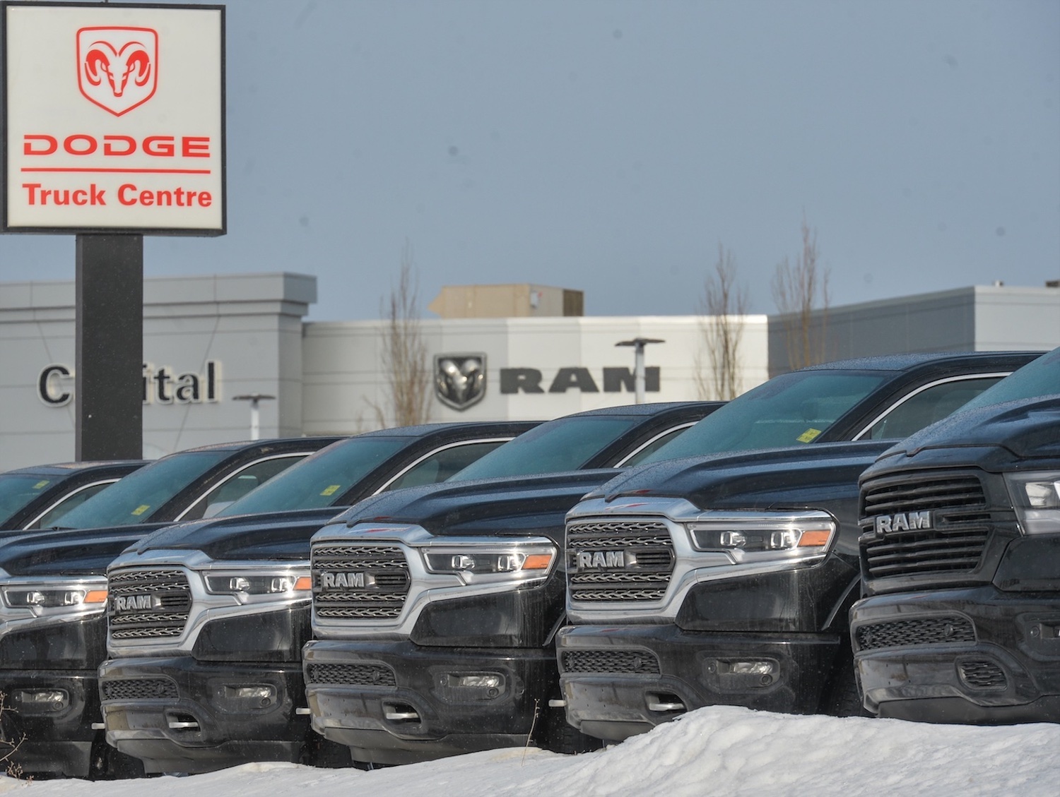 A row of Ram trucks at a Dodge dealership.