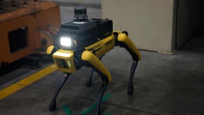 Hyundai robot service dog