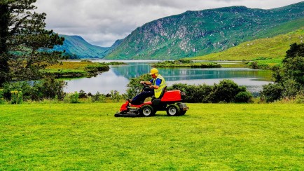 Is It Bad to Mow the Grass on a Lawn Too Short? — AKA Scalping 