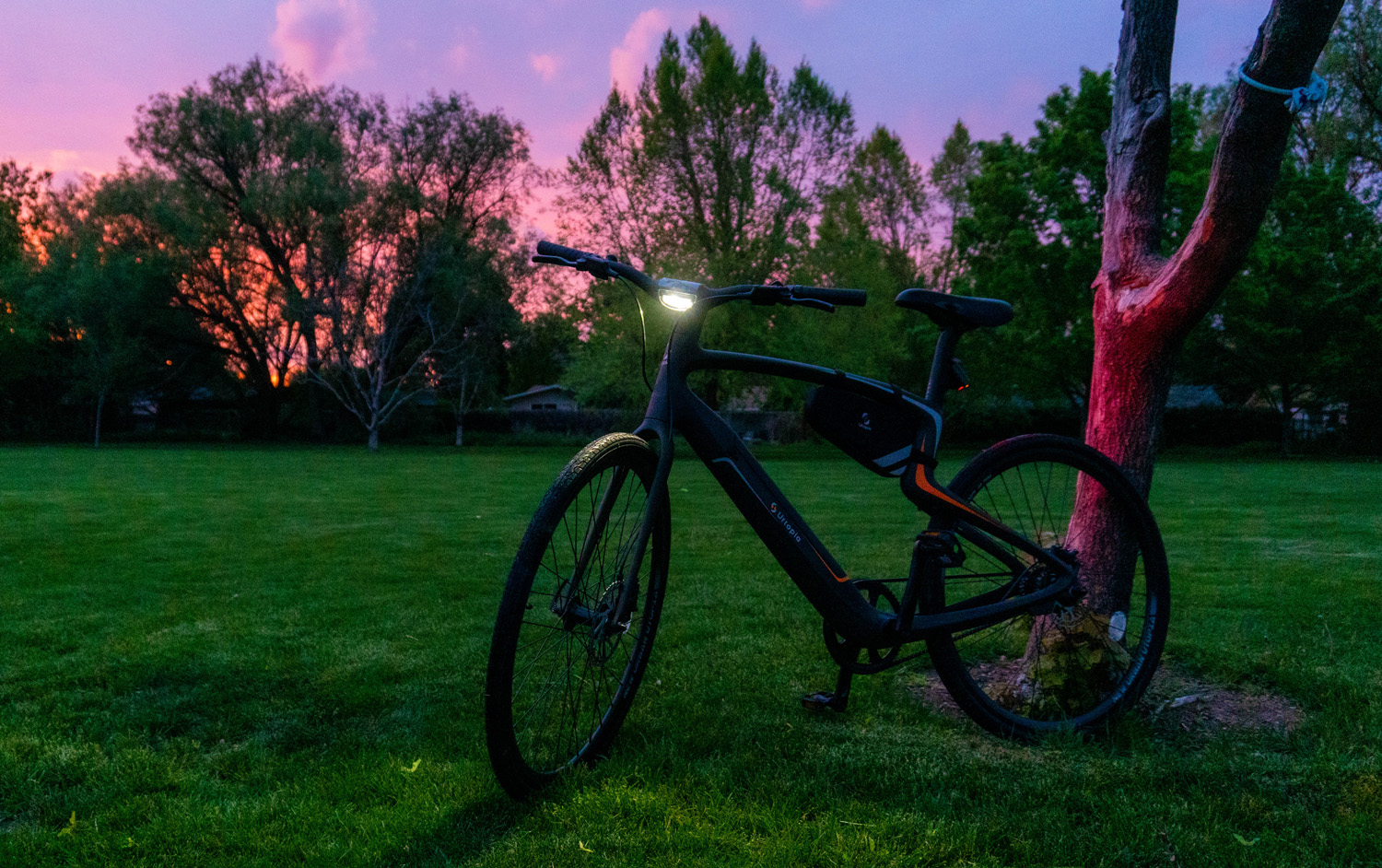 New Urban Urtopia Electric Carbon Fiber Bike E-Bike Leaning against a tree in a grassy park at sunset