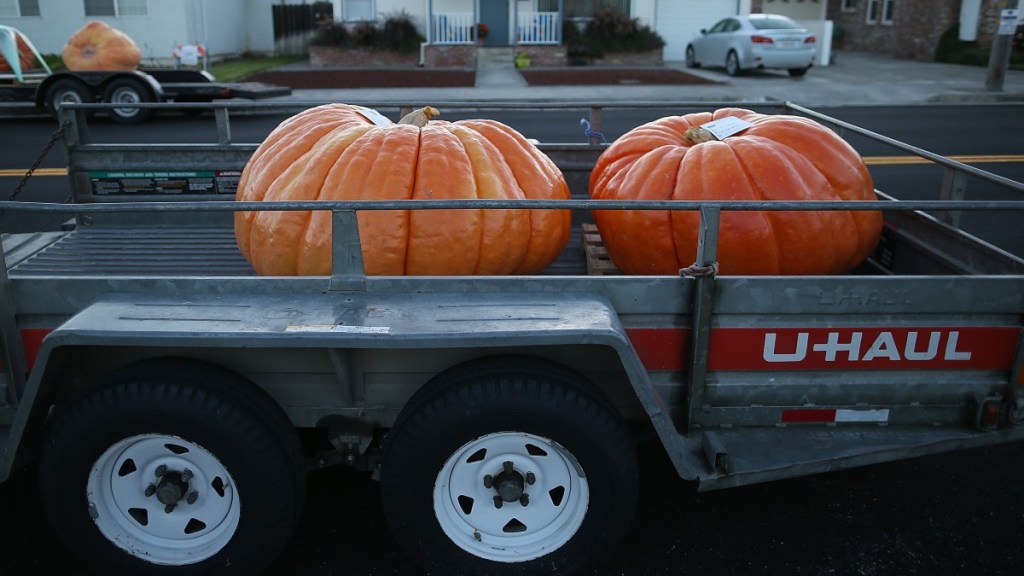 a uhaul trailer loaded with large pumpkins, just one of the things you can move