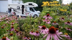 RV sitting behind an area of flowers that may need 4 RV tips to make your experience even better.