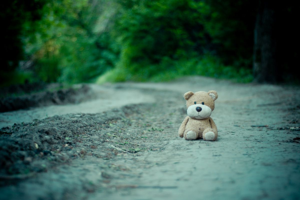 Small brown stuffed animal sits on a dark dirt road looking sad. Stuffed animals on trucks is a common thing to see.