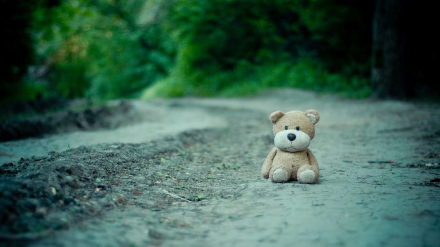 Small brown stuffed animal sits on a dark dirt road looking sad. Stuffed animals on trucks is a common thing to see.