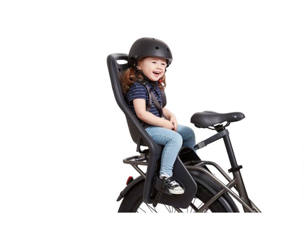 Thule Yepp Maxi Child Seat