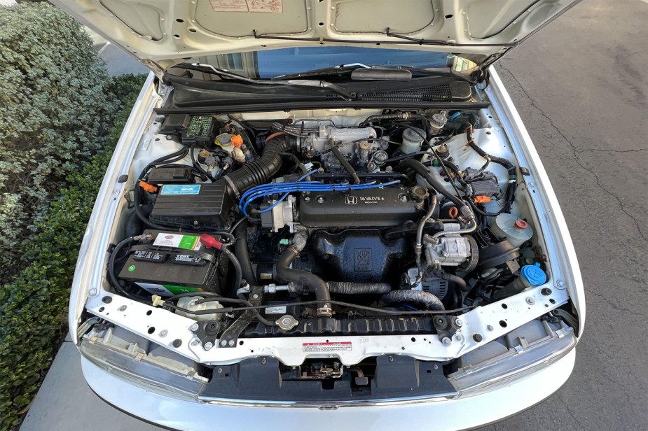 F22 Engine under hood of manual transmission 1992 Honda Accord