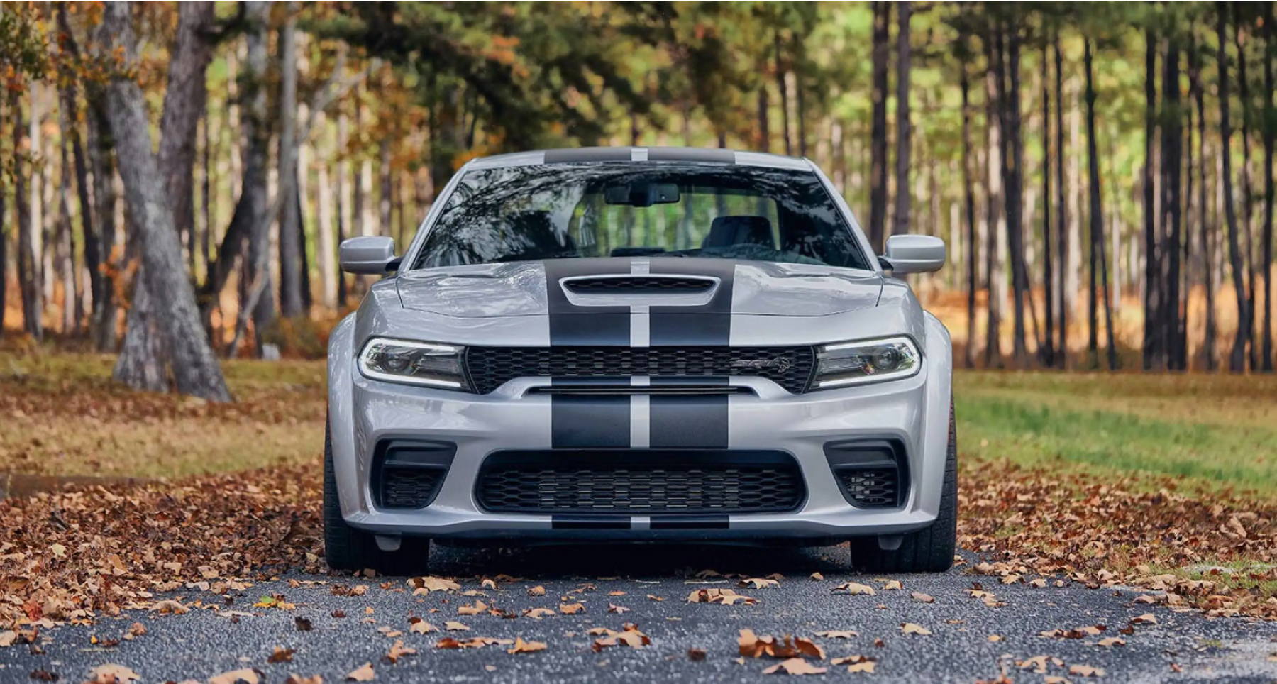 A gray 2022 Dodge Charger SRT Hellcat Widebody muscle car with a hood vent and racing stripe parked on a forest trail